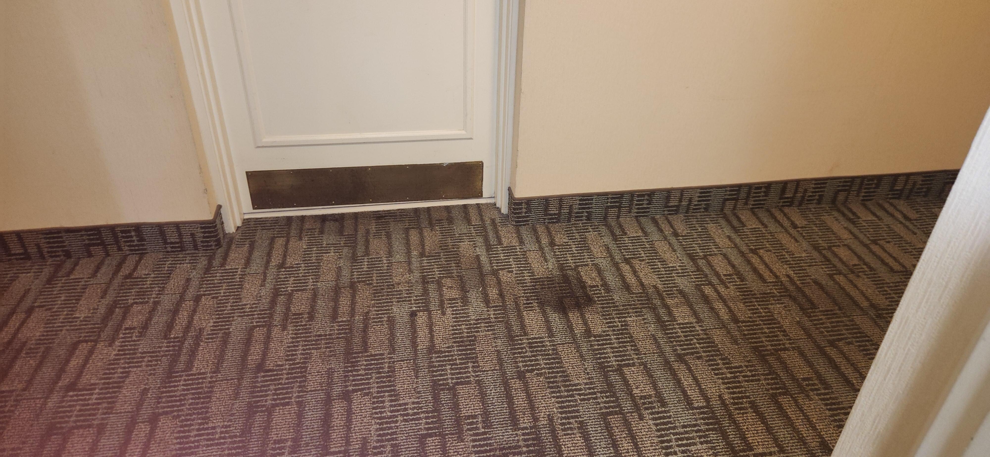 Photo does not do this scary stains justice