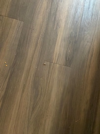 Roach crawling on the floor
