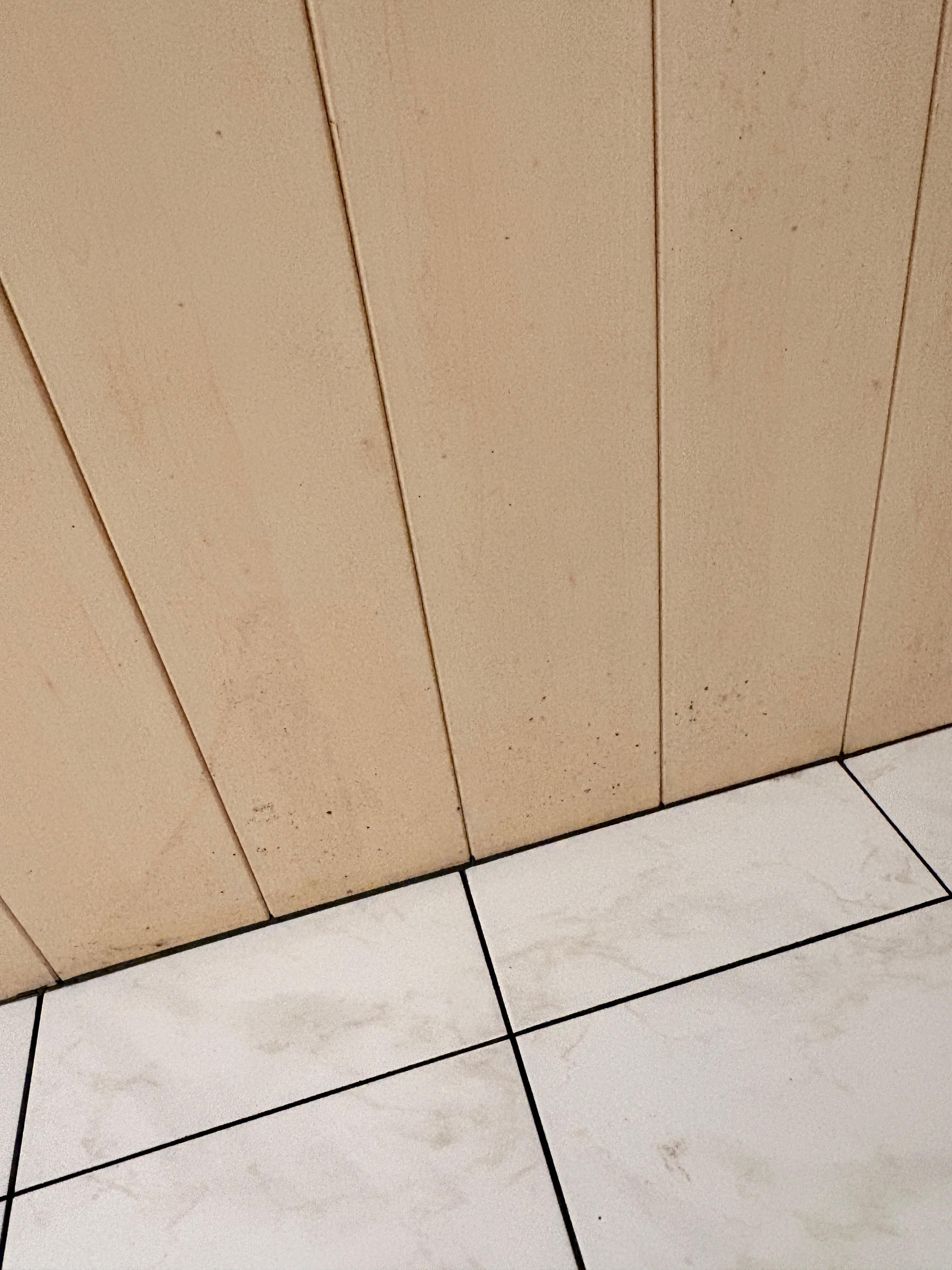 Mold in the ceiling.