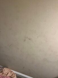 The walls were dirty in every room.