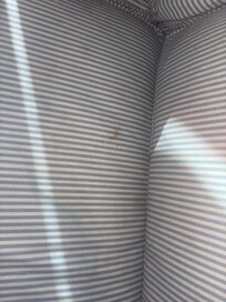 had stains and hair all on it