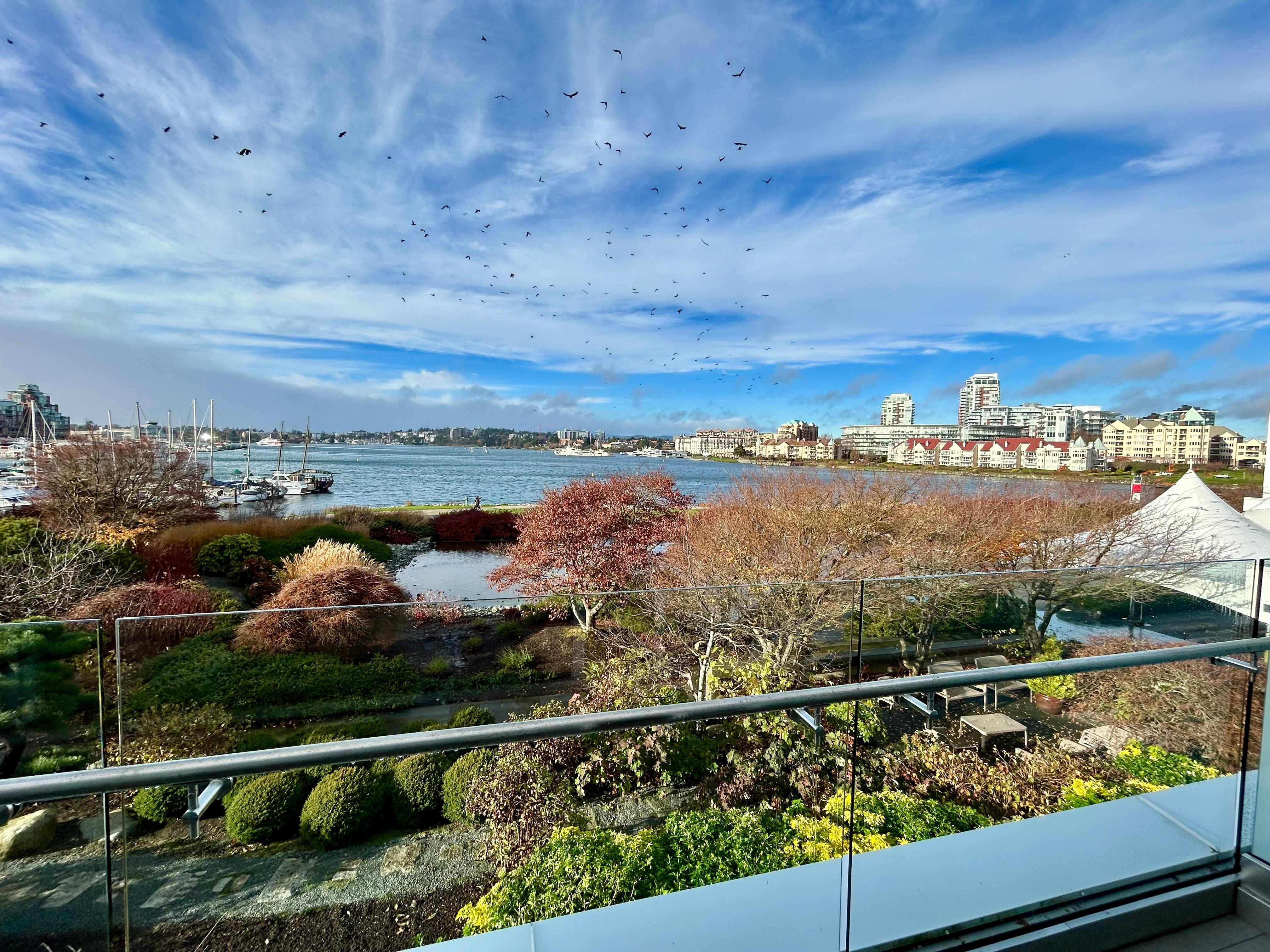 View from my room in the Erickson wing