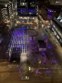 View of Director Park from room