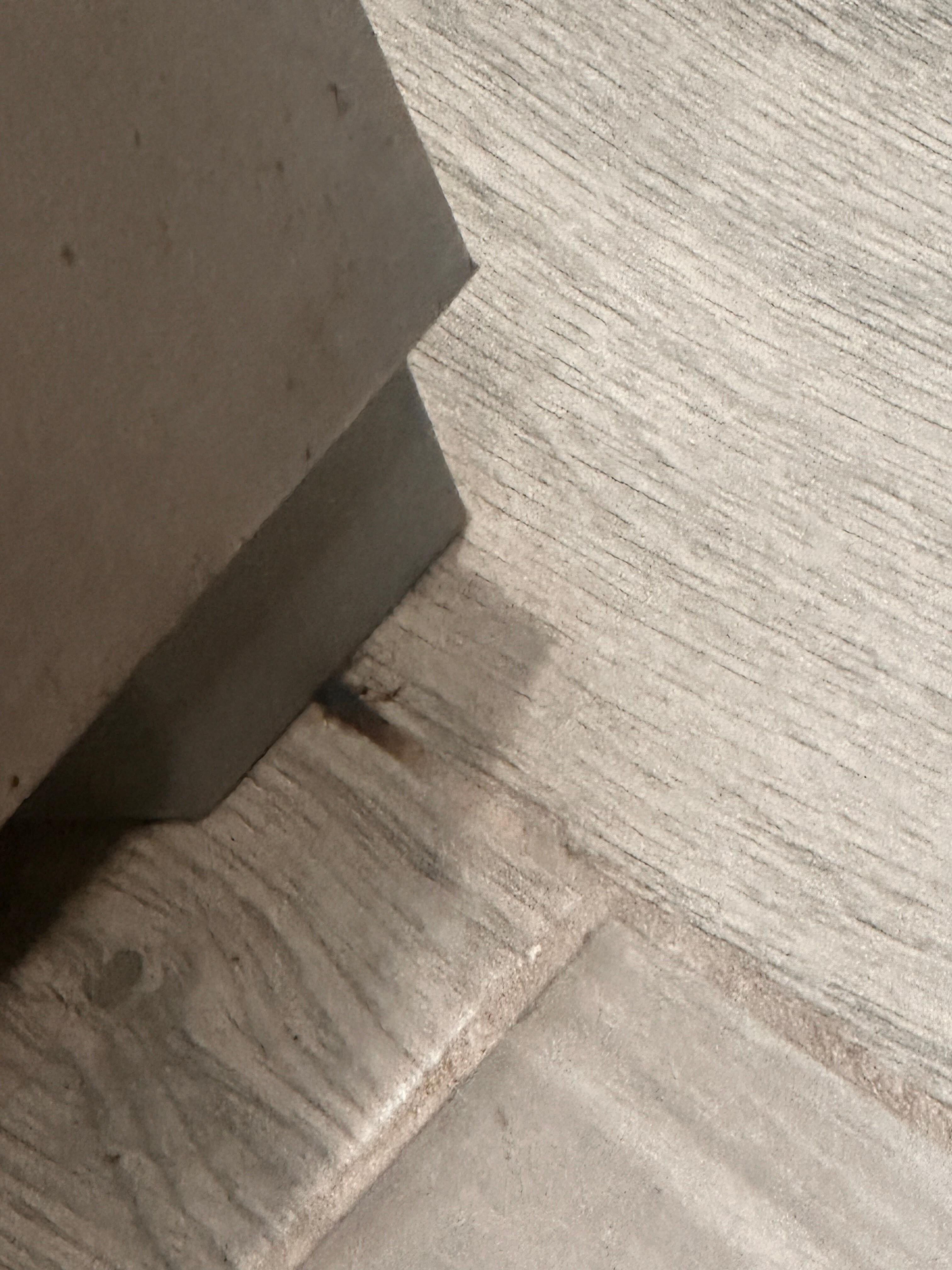 Another roach, there were many even In the fridge 