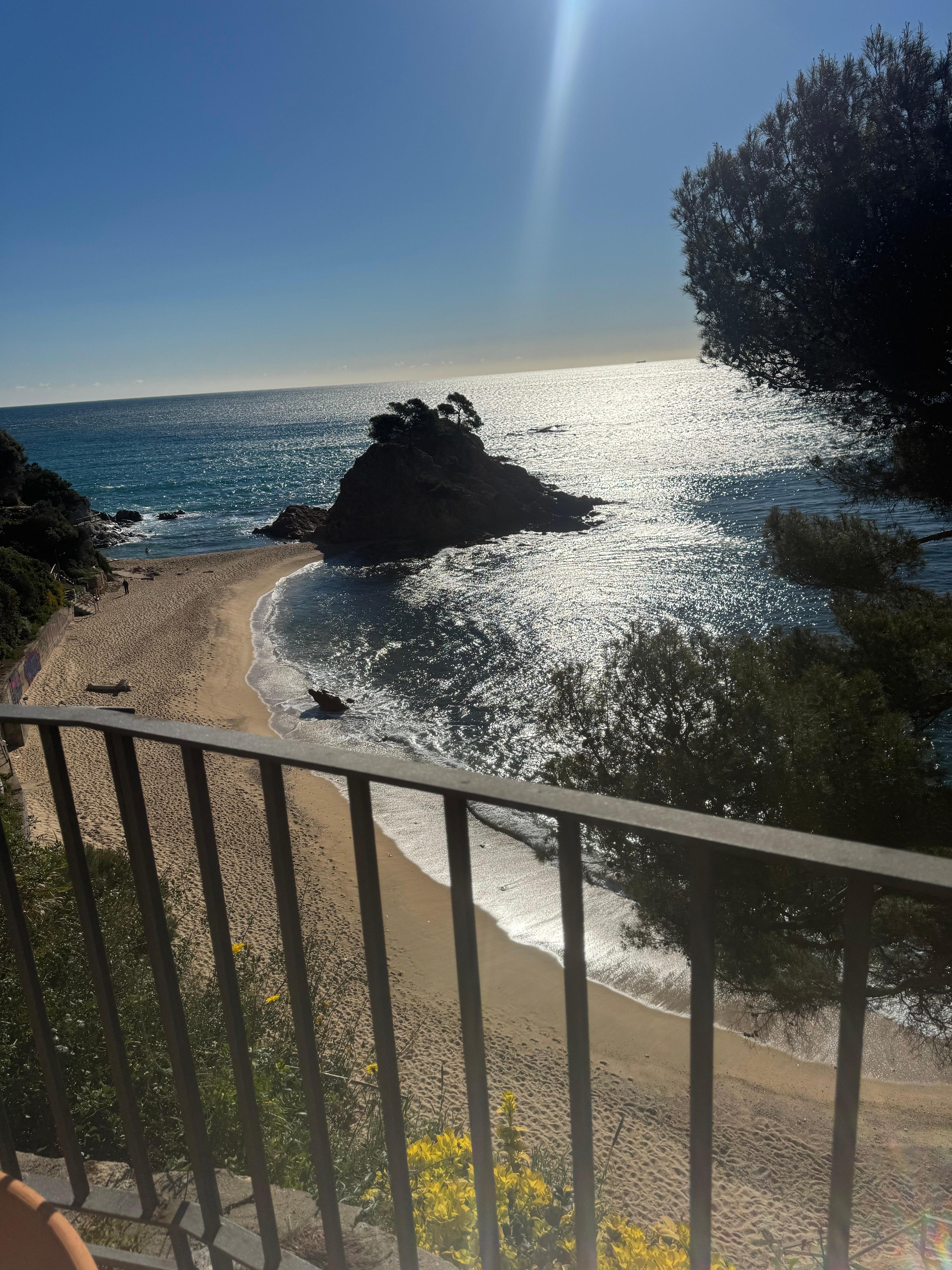 The view from the terrace