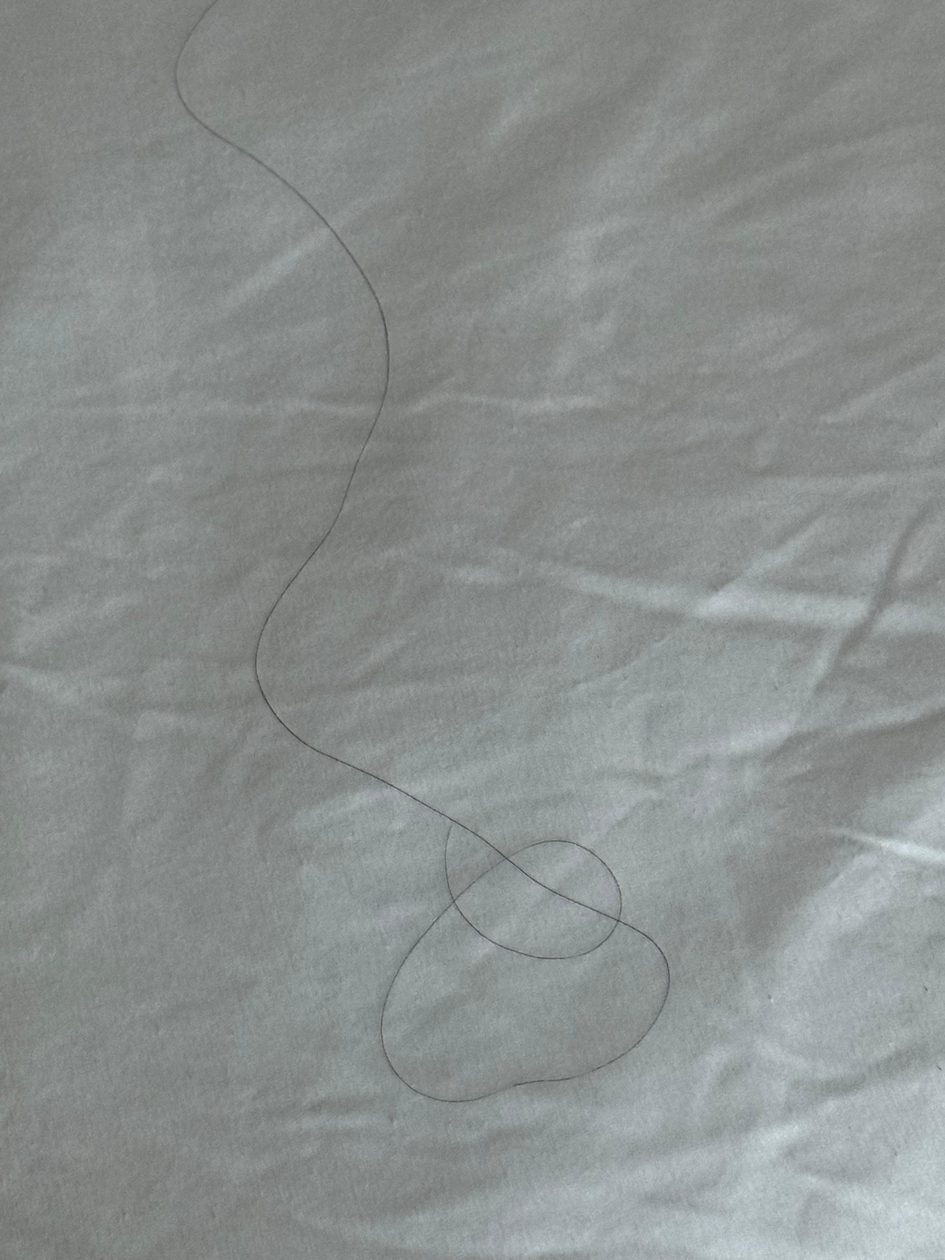 Long black hair on bedding