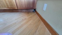 Entry point of where the mouse came in