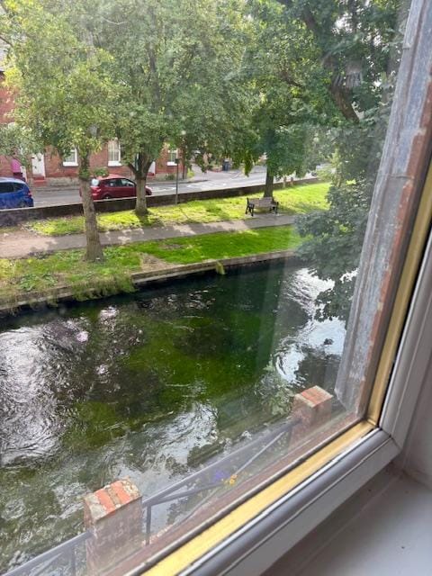 Looking out the window from the chair in the living room while drinking my tea in the morning :)