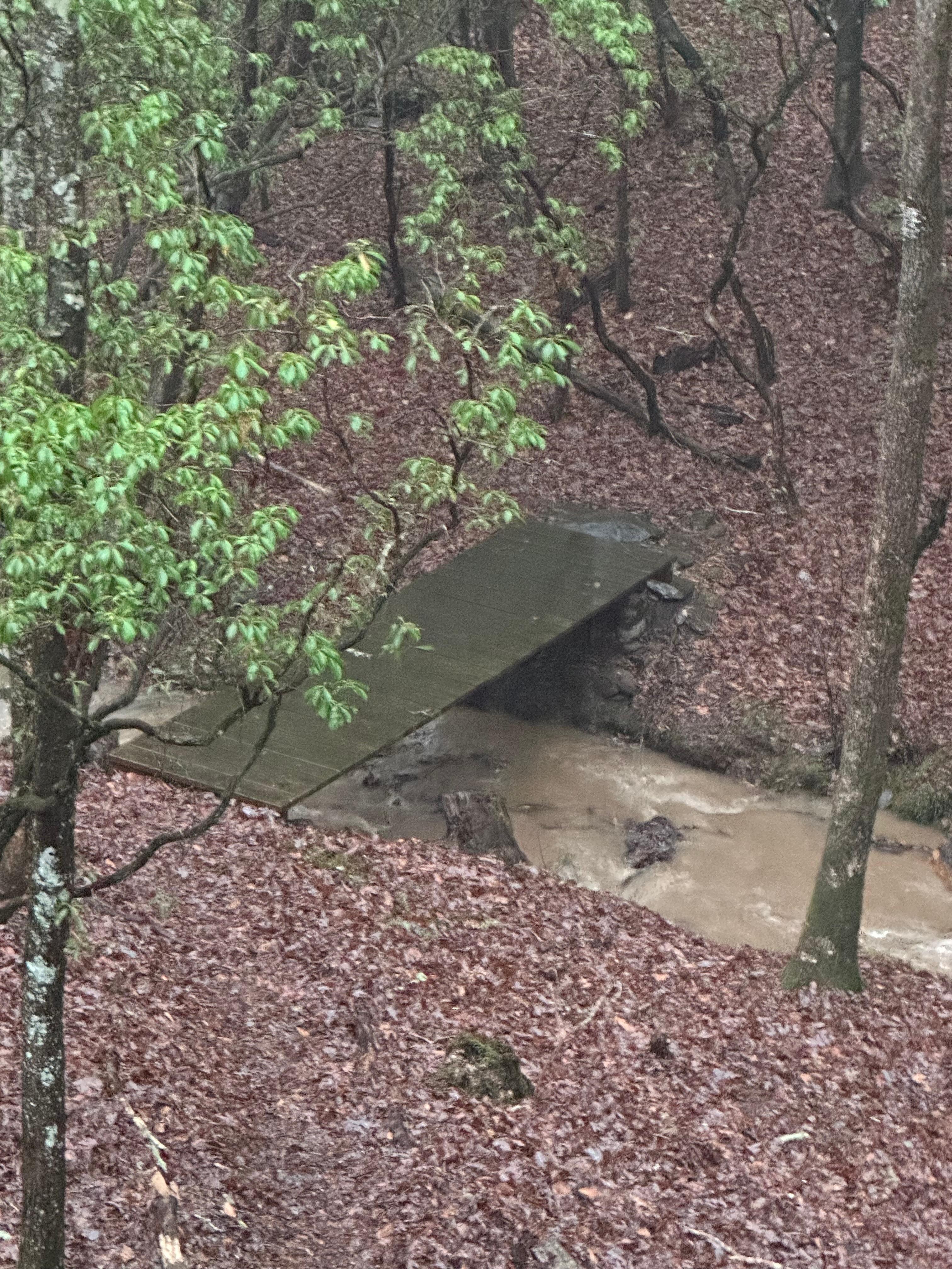 Bridge across the creek❤️ 