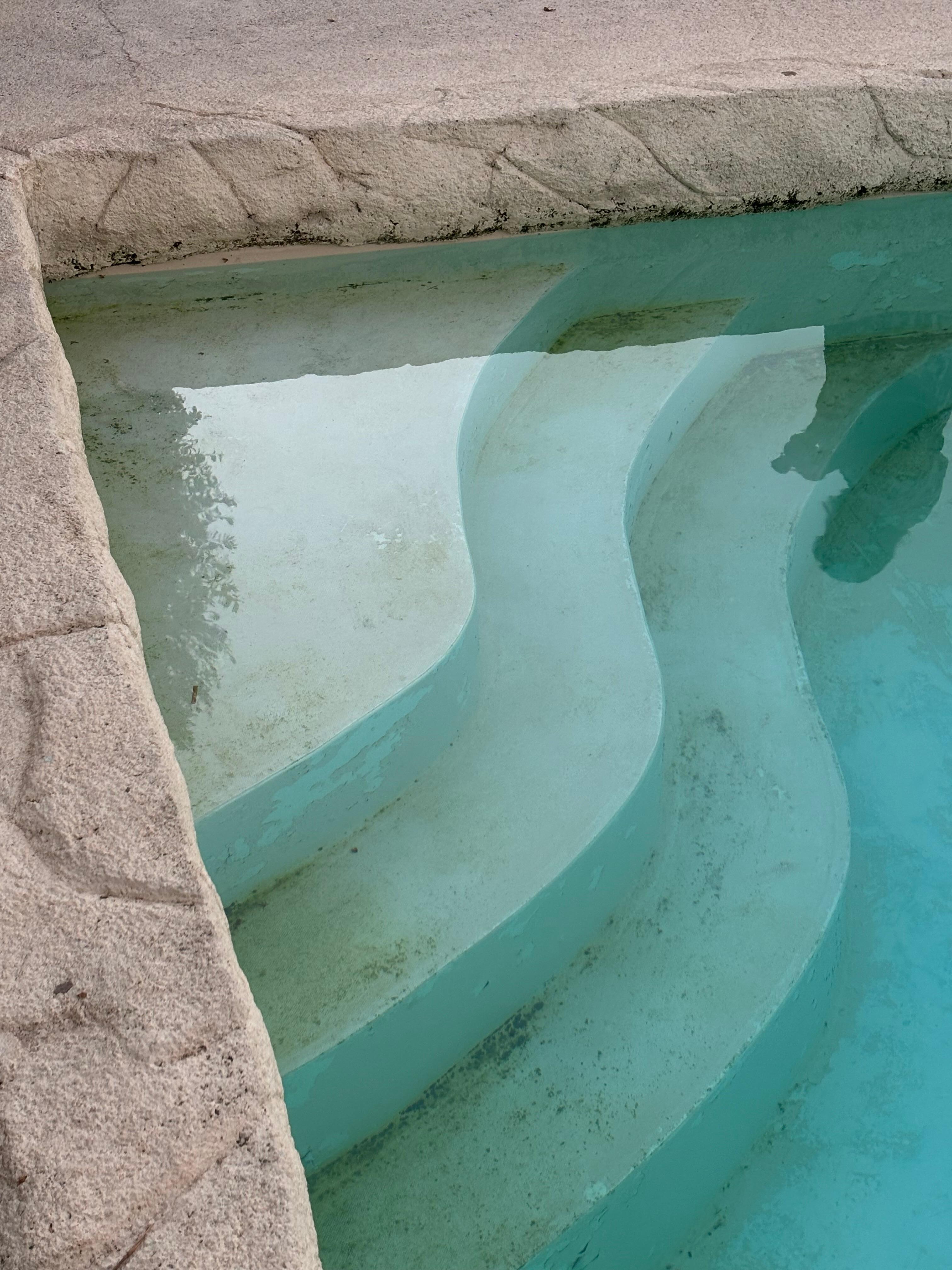 Pool steps with algae