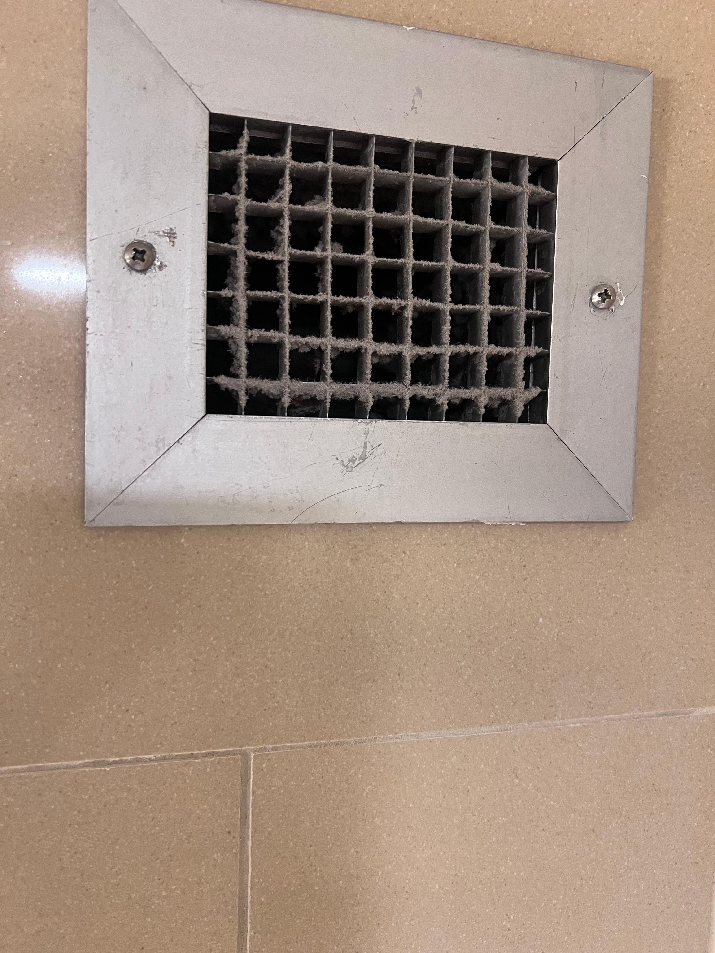 Vent in the Shower