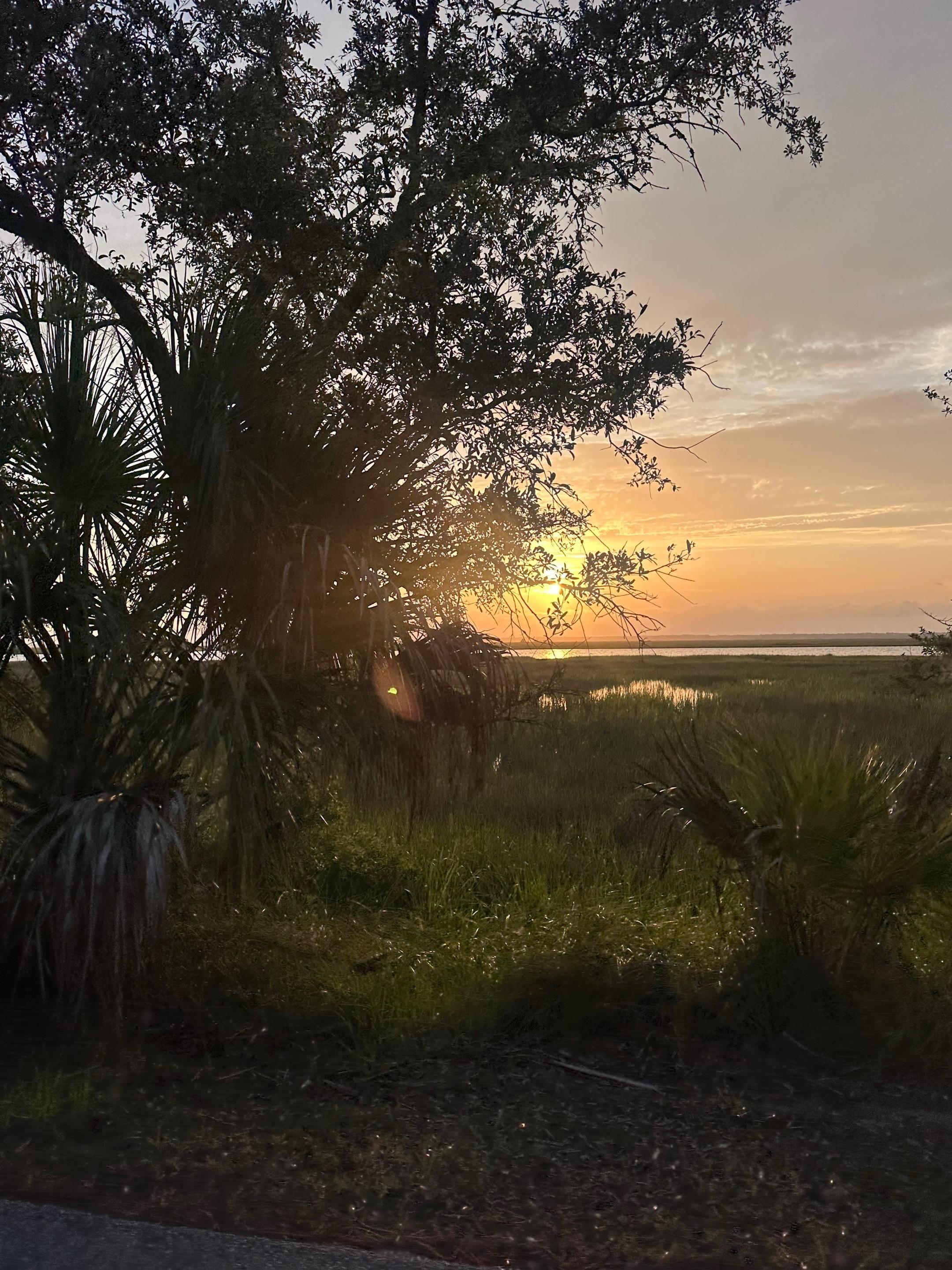 Marsh side 