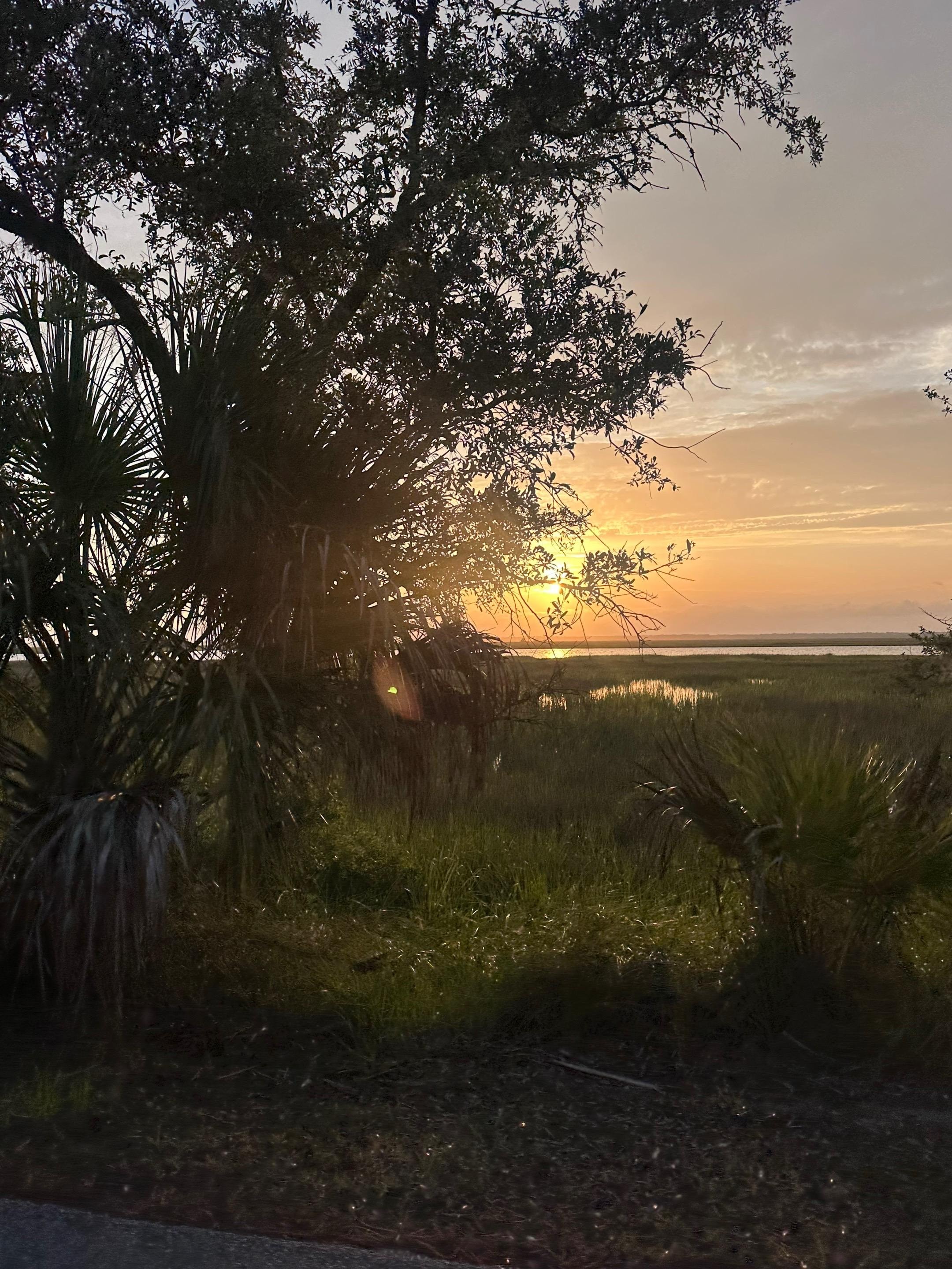 Marsh side