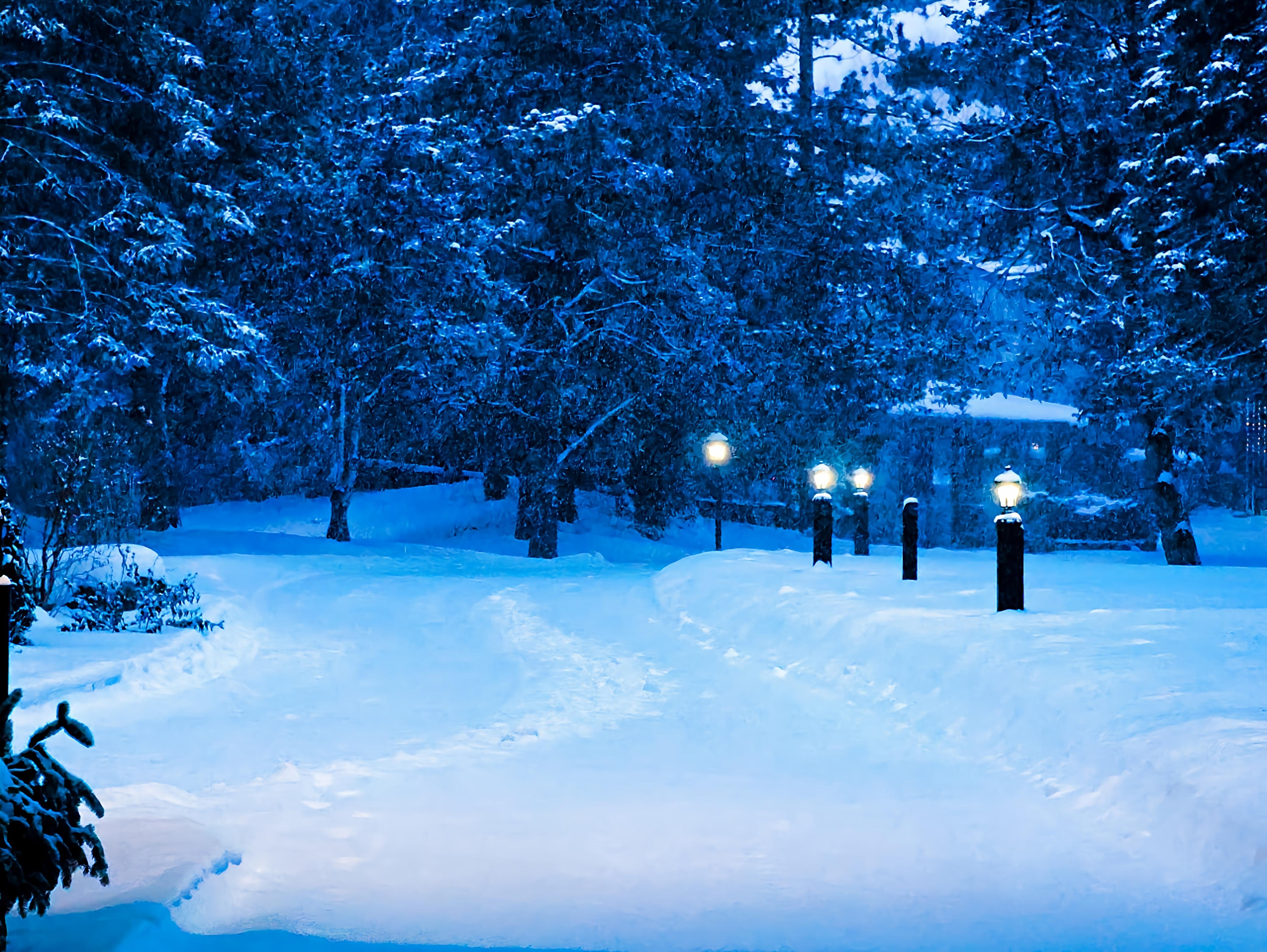 Beautiful in the early morning. Drives kept pretty clear