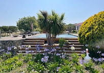 Greenery around the property