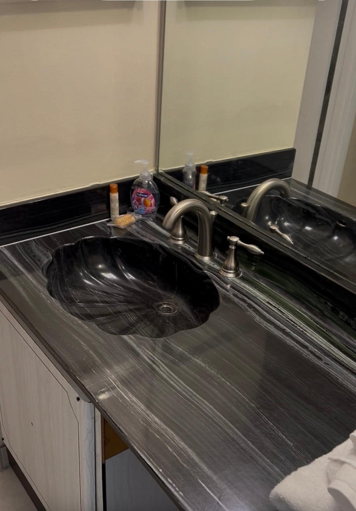 Master BA Sink and Vanity  