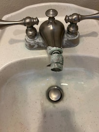 Bidet in primary bedroom