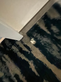 Hole in carpet outside bathroom door