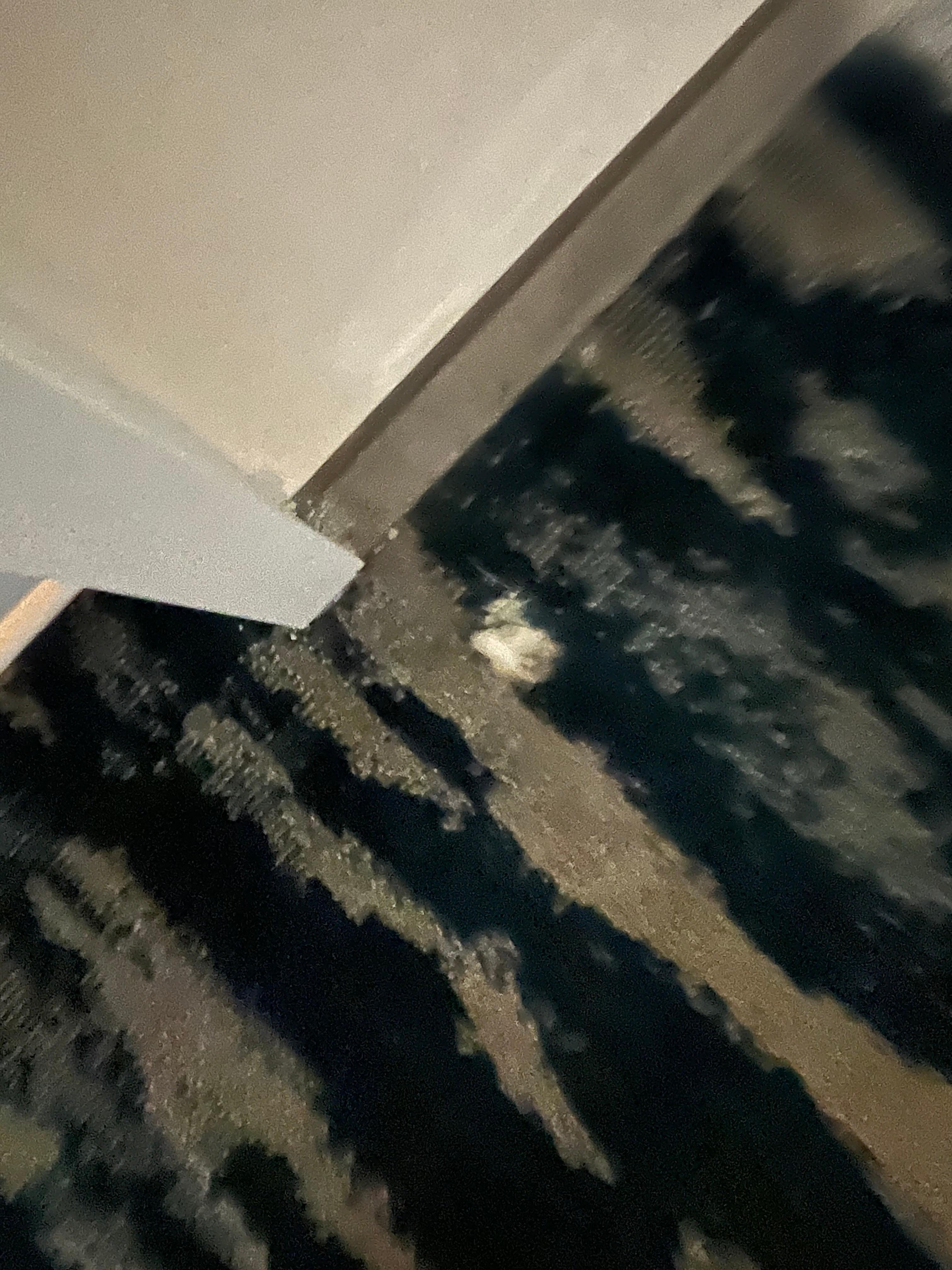 Hole in carpet outside bathroom door