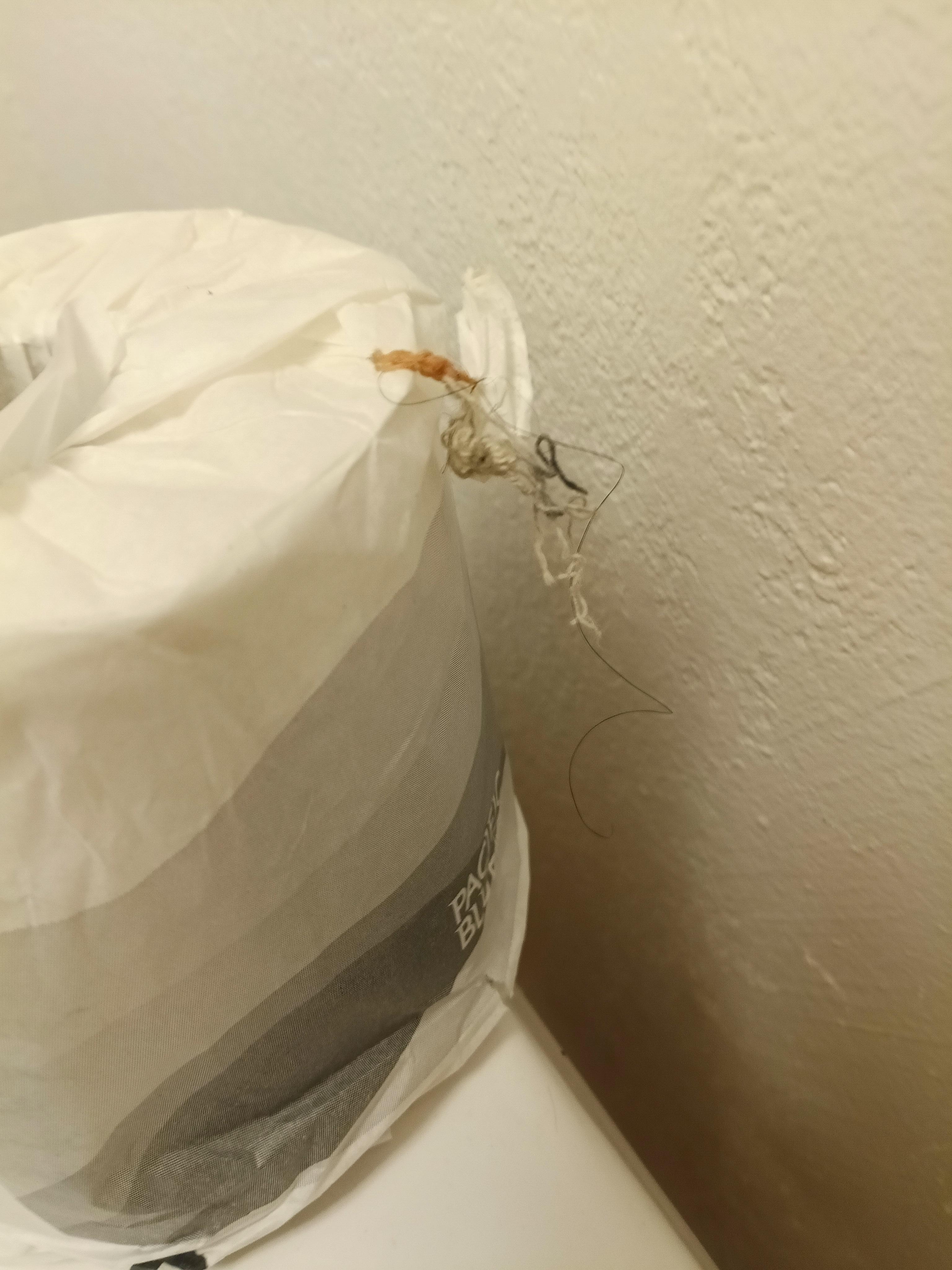 Hair and dust on toilet paper