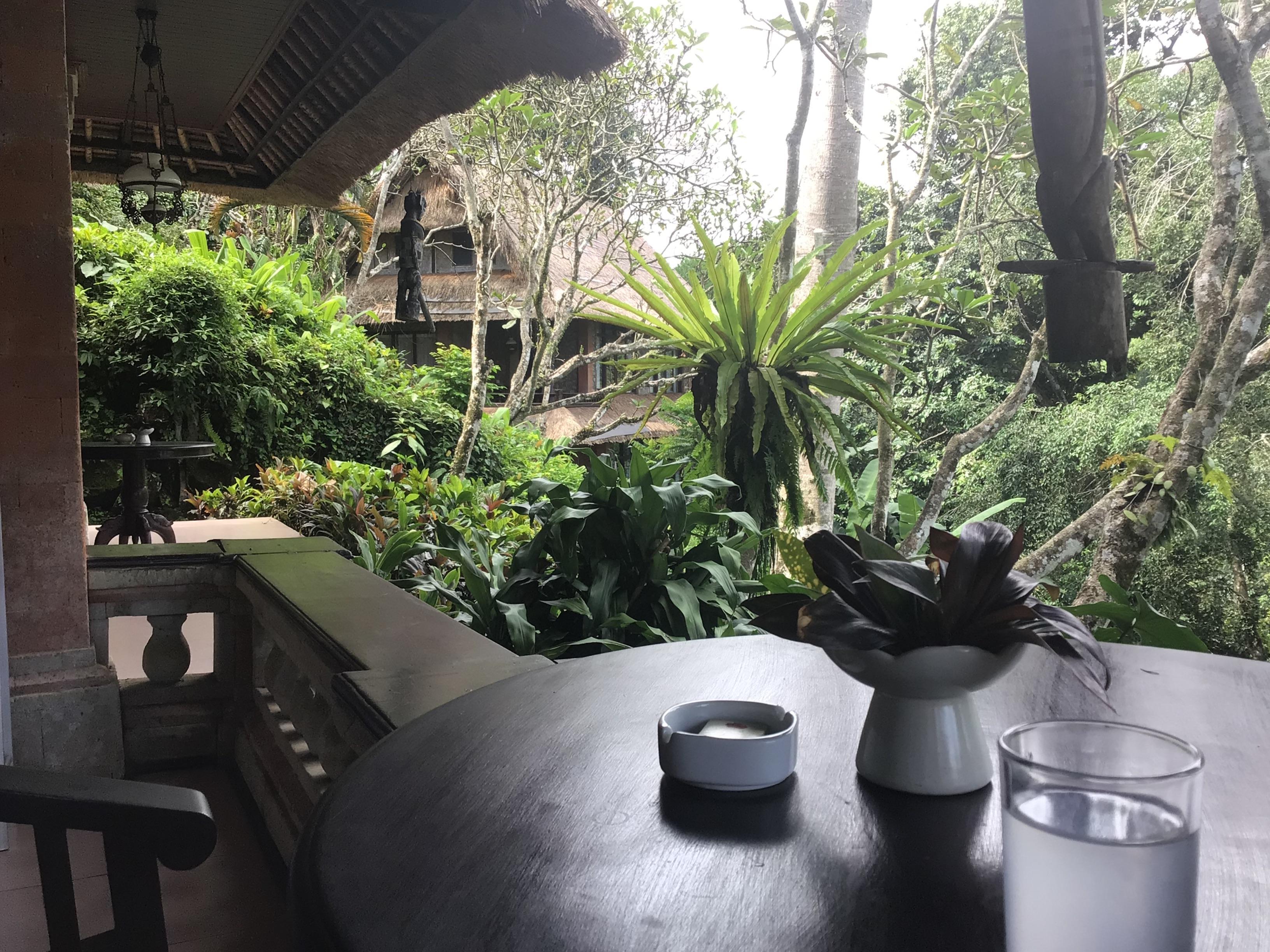 View from our terrace