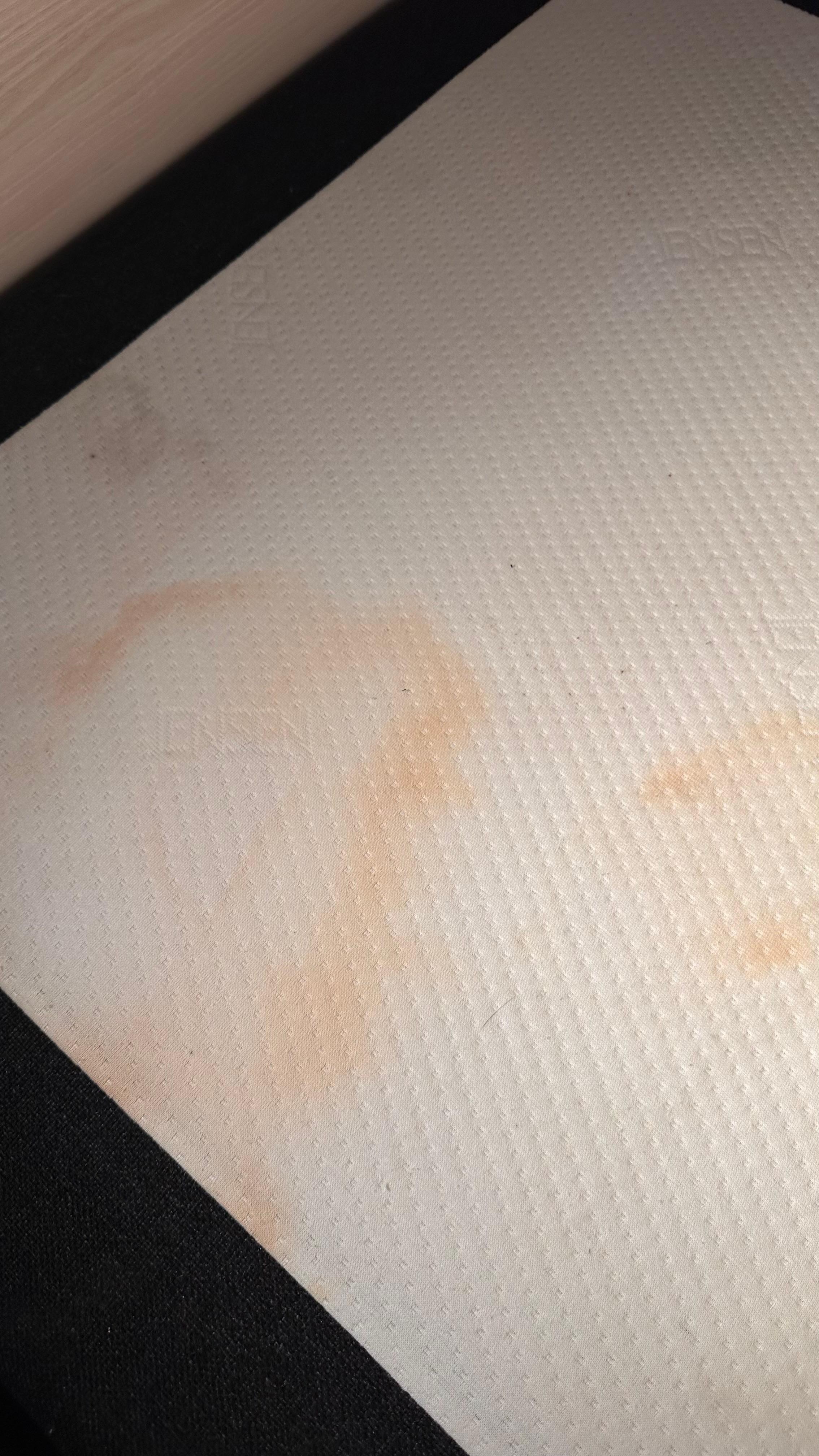 dirty bed 