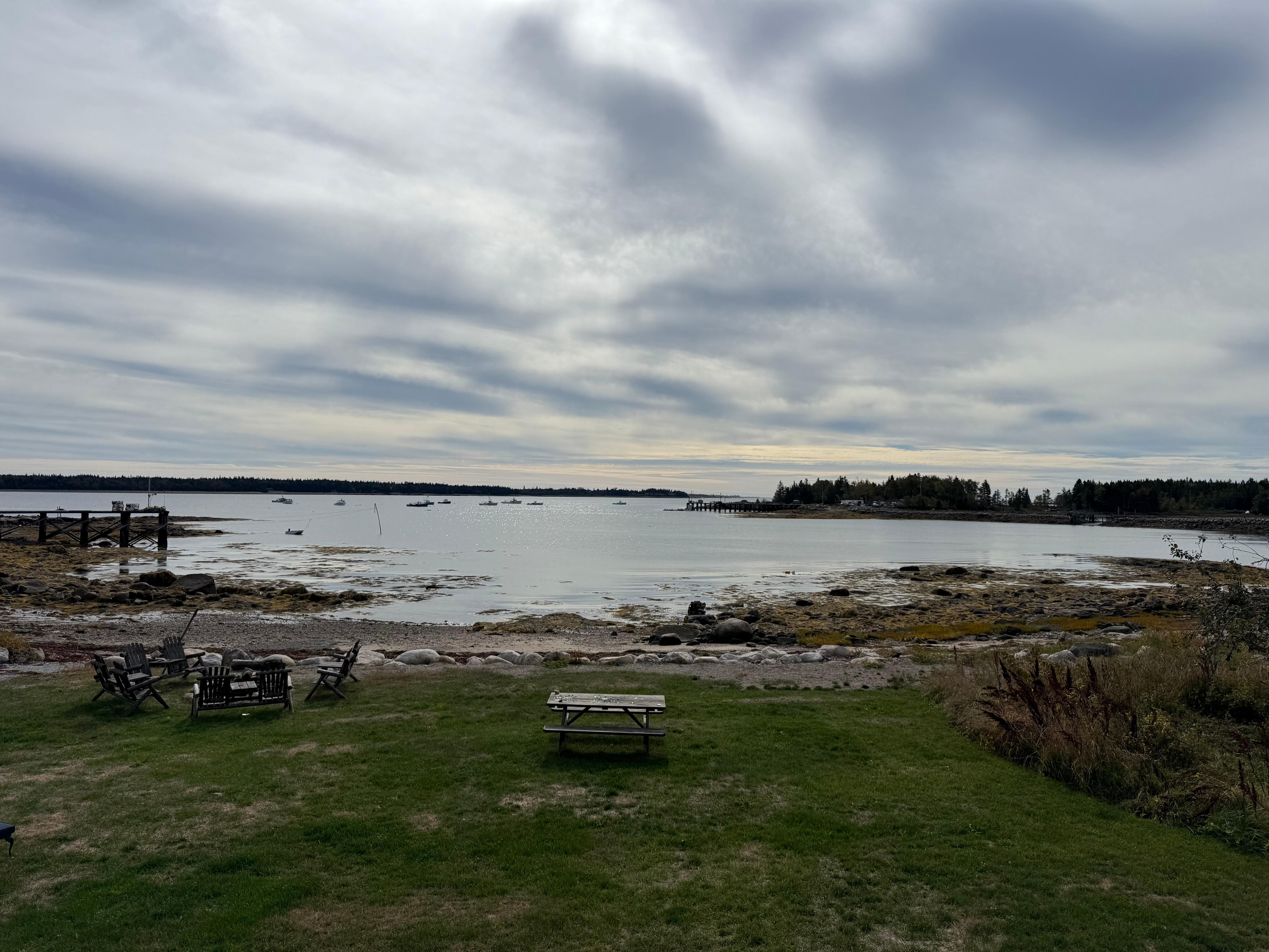 View from back porch.