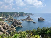 宿から車で20分程度の海金剛(大島)