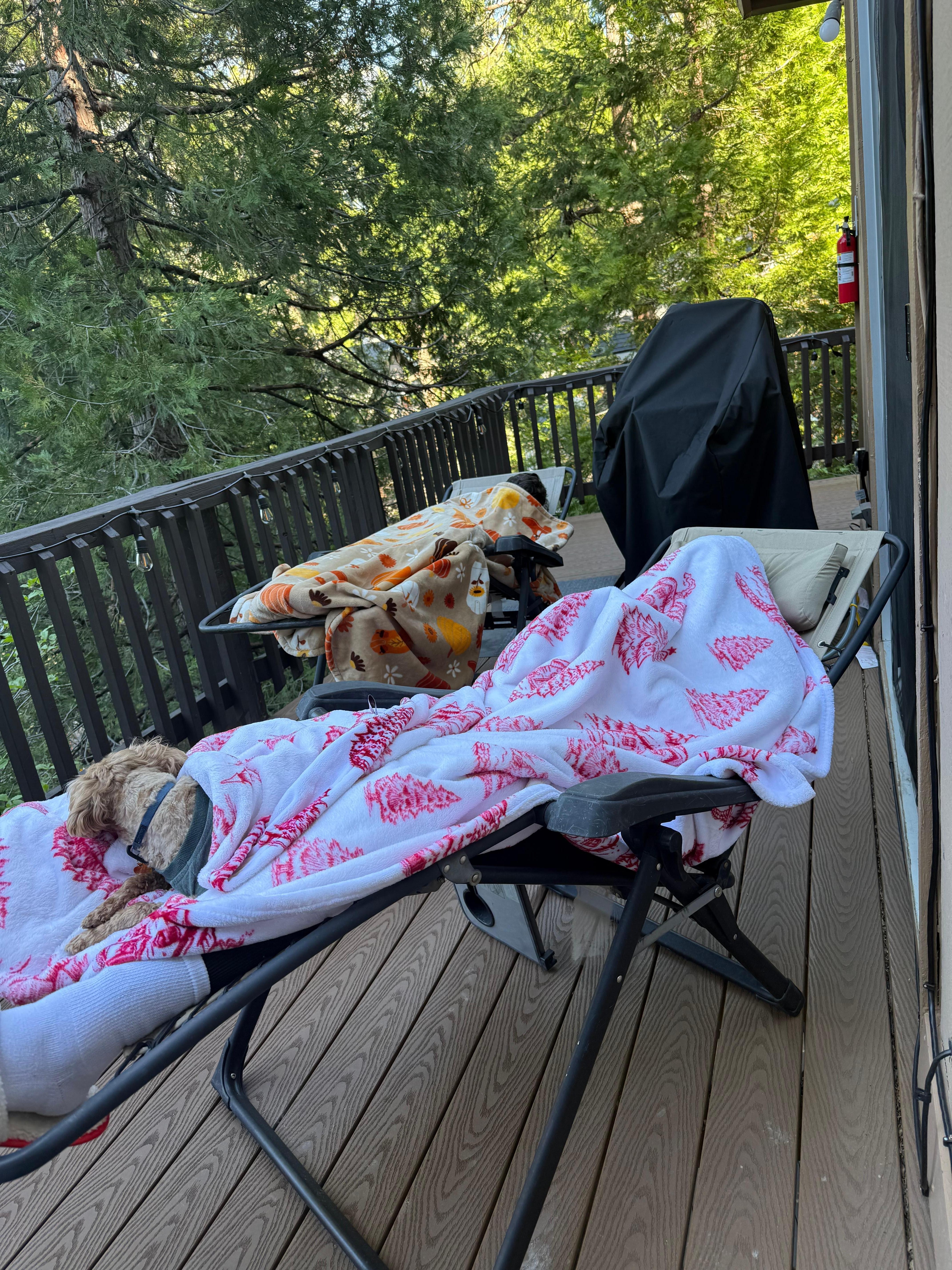 Afternoon naps on the deck