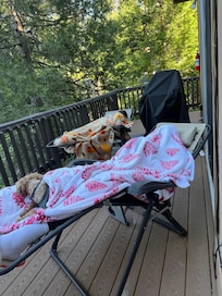 Afternoon naps on the deck