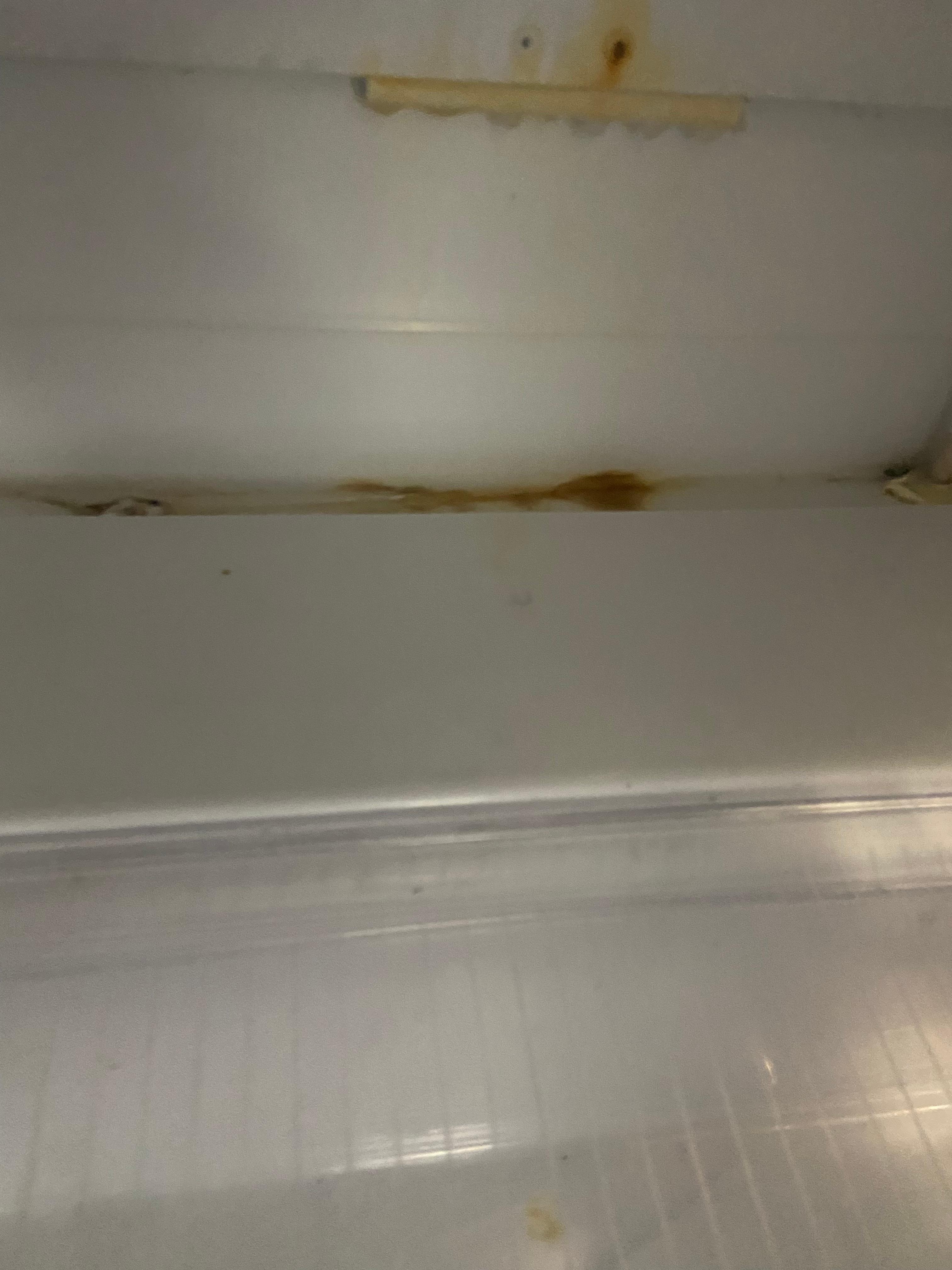 Inside of fridge, fridge did not keep anything cold. 