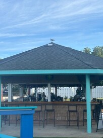 Tiki bar with a friend atop!