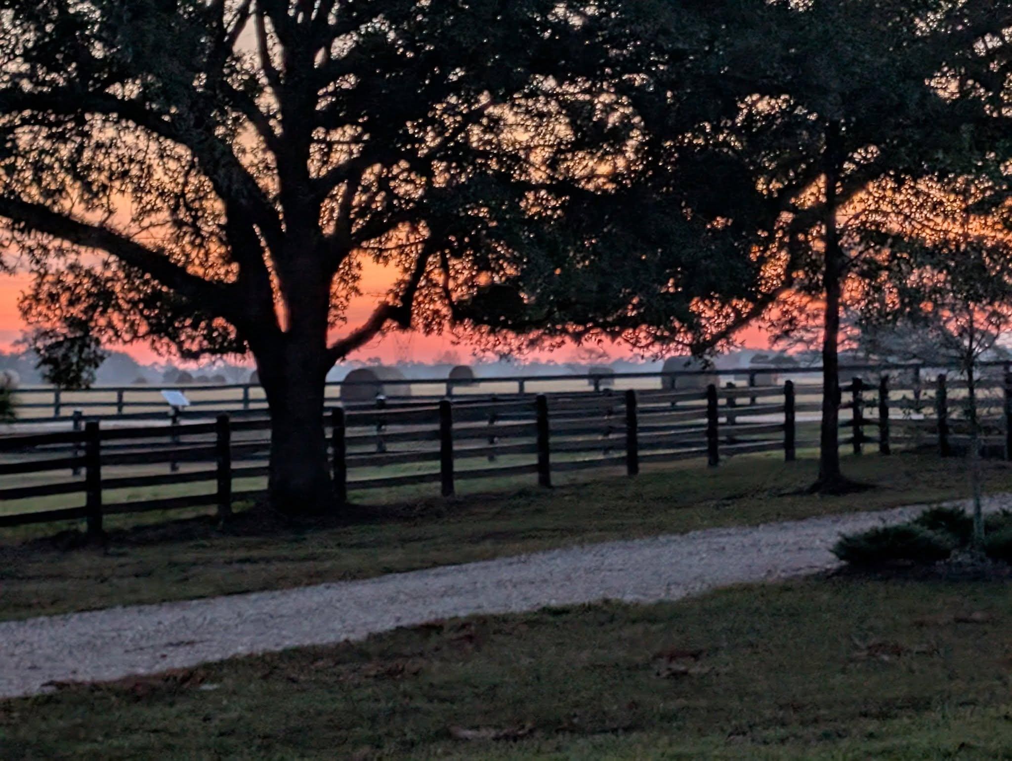 Sunrise from the covered patio