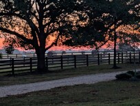 Sunrise from the covered patio