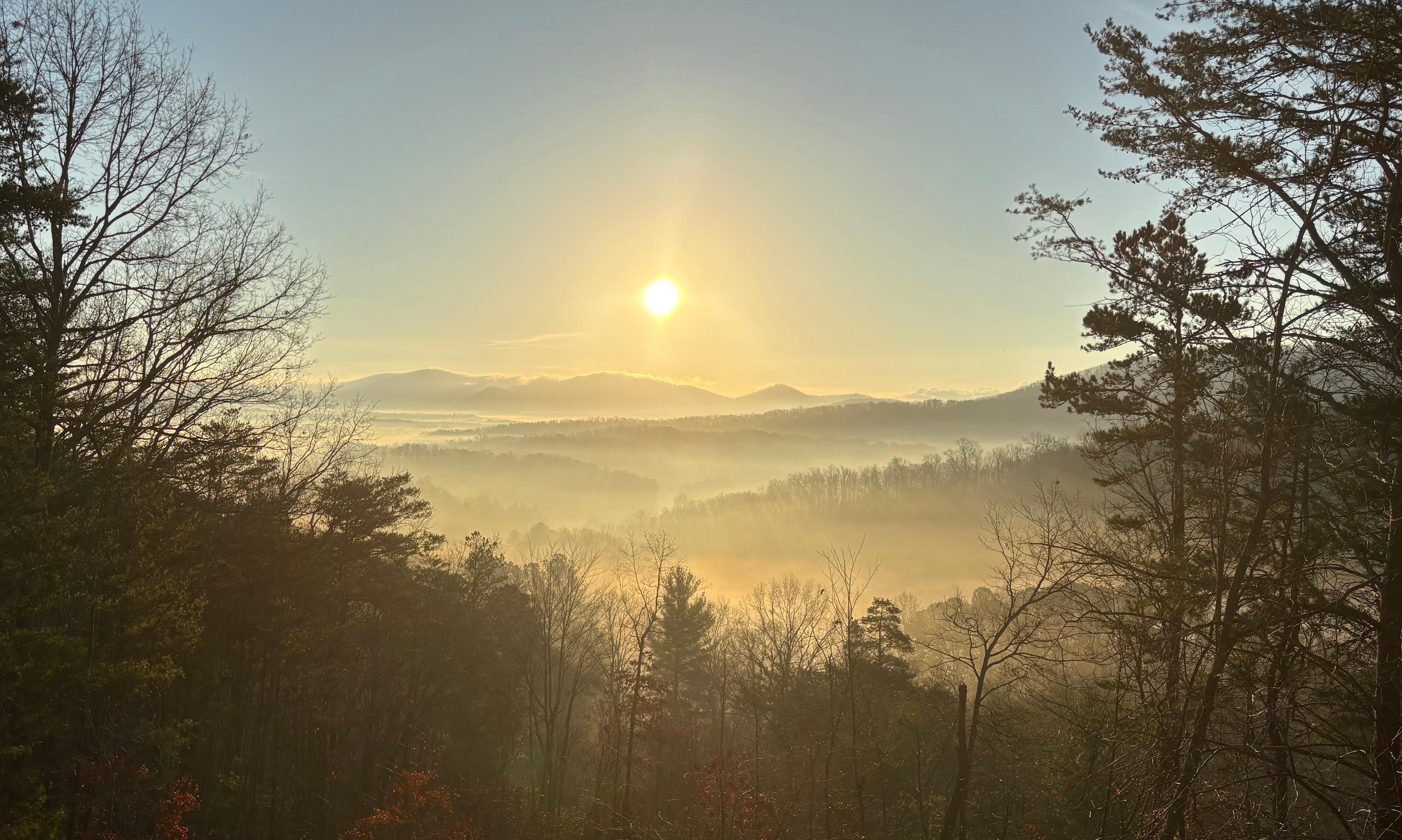 View from the porch in the morning