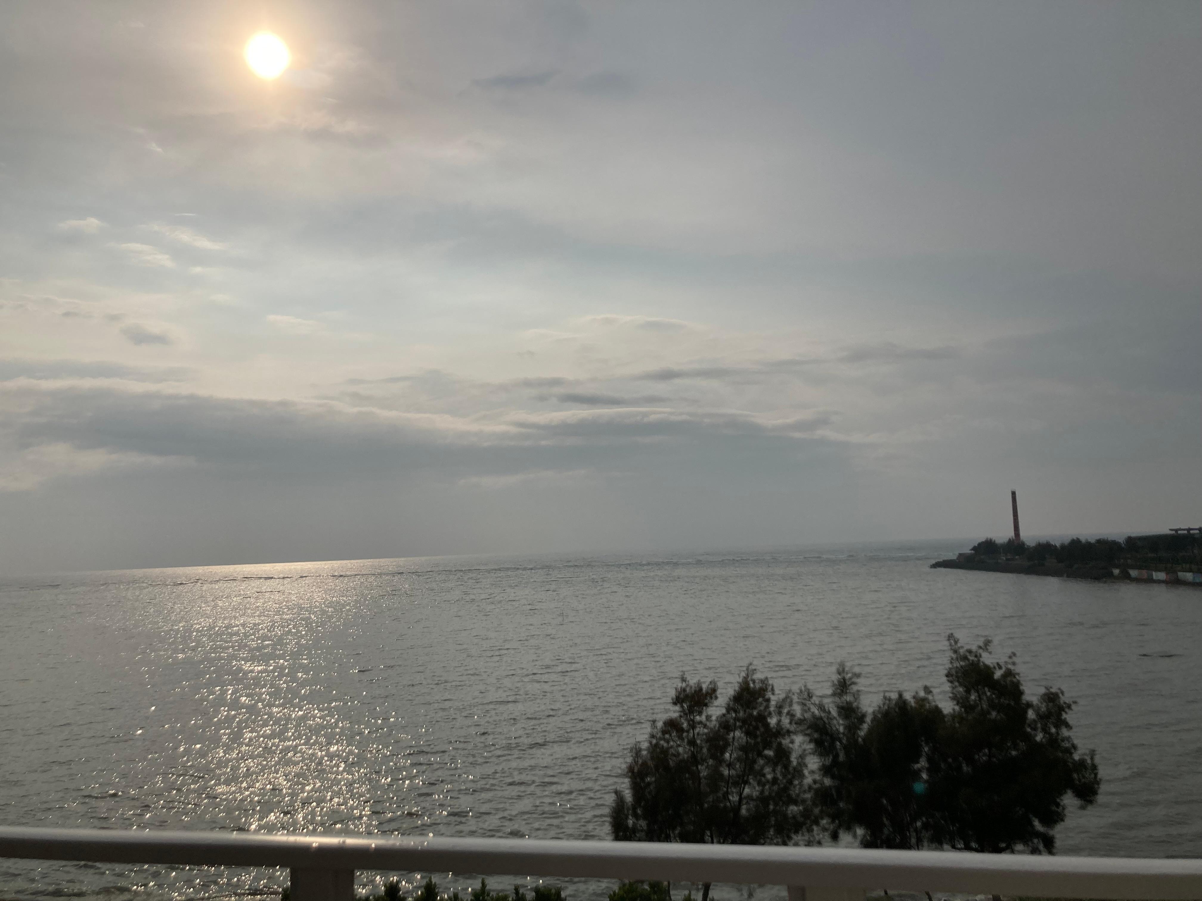 部屋からの景色