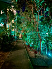 Walk around the grounds