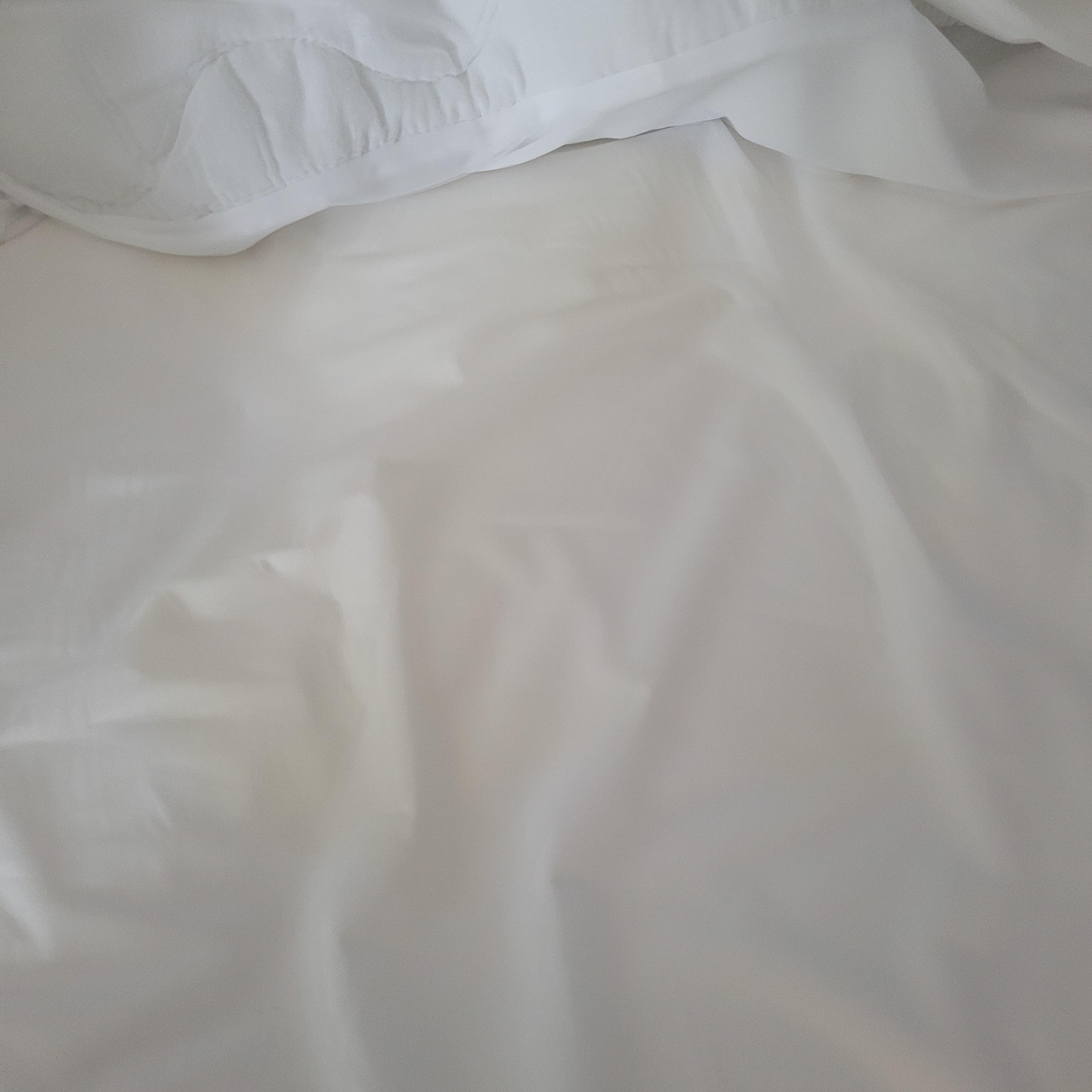 This is the $100.00 dollar soiled stain they took pic of and sent me can't see anything how about you?