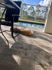 We all enjoyed being outside by the pool!