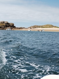 Balade en mer