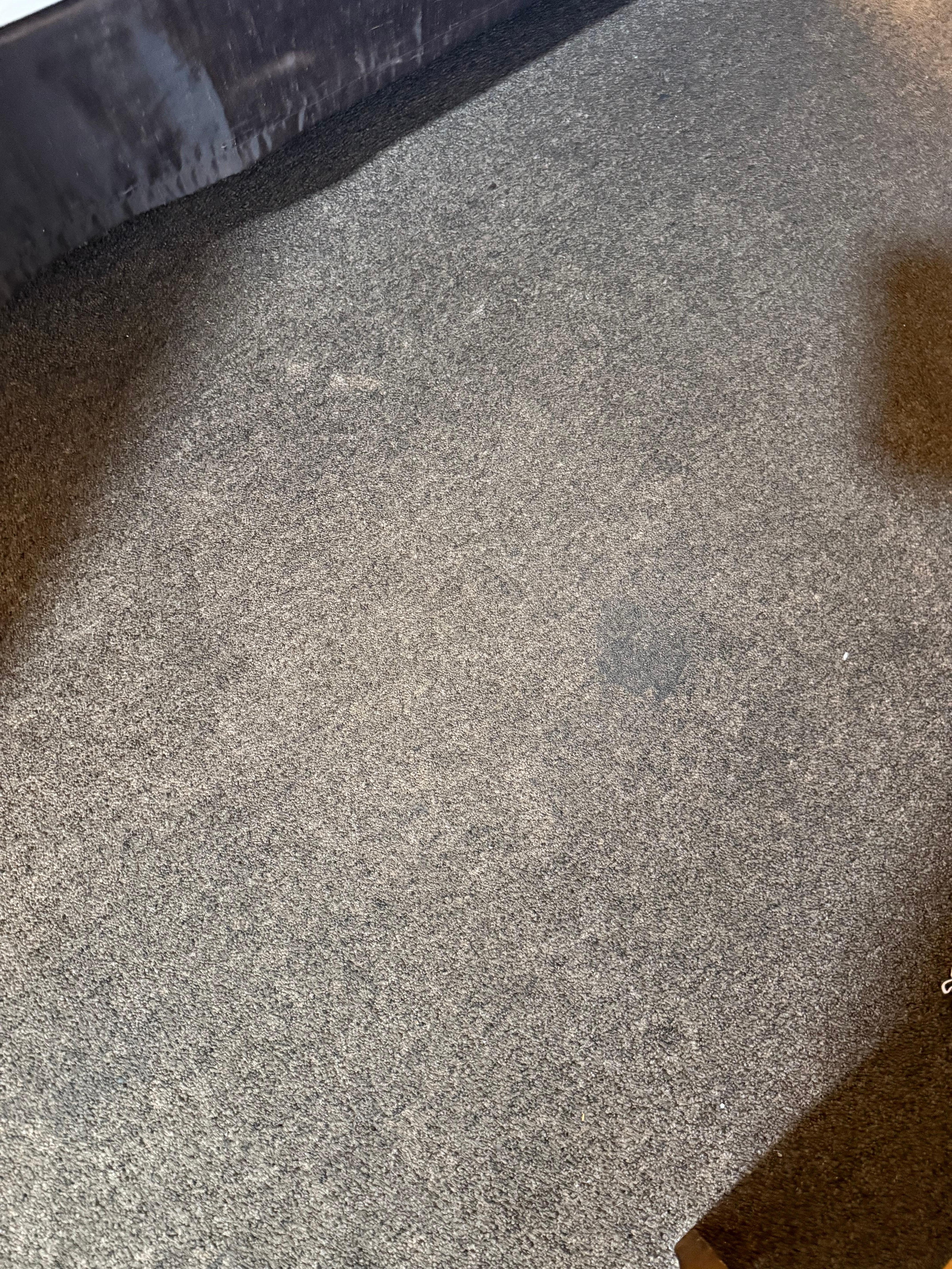 Dirty and smelly carpets
