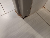 Rust around shower