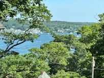 View from the living room