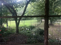 View while sipping our morning coffee!