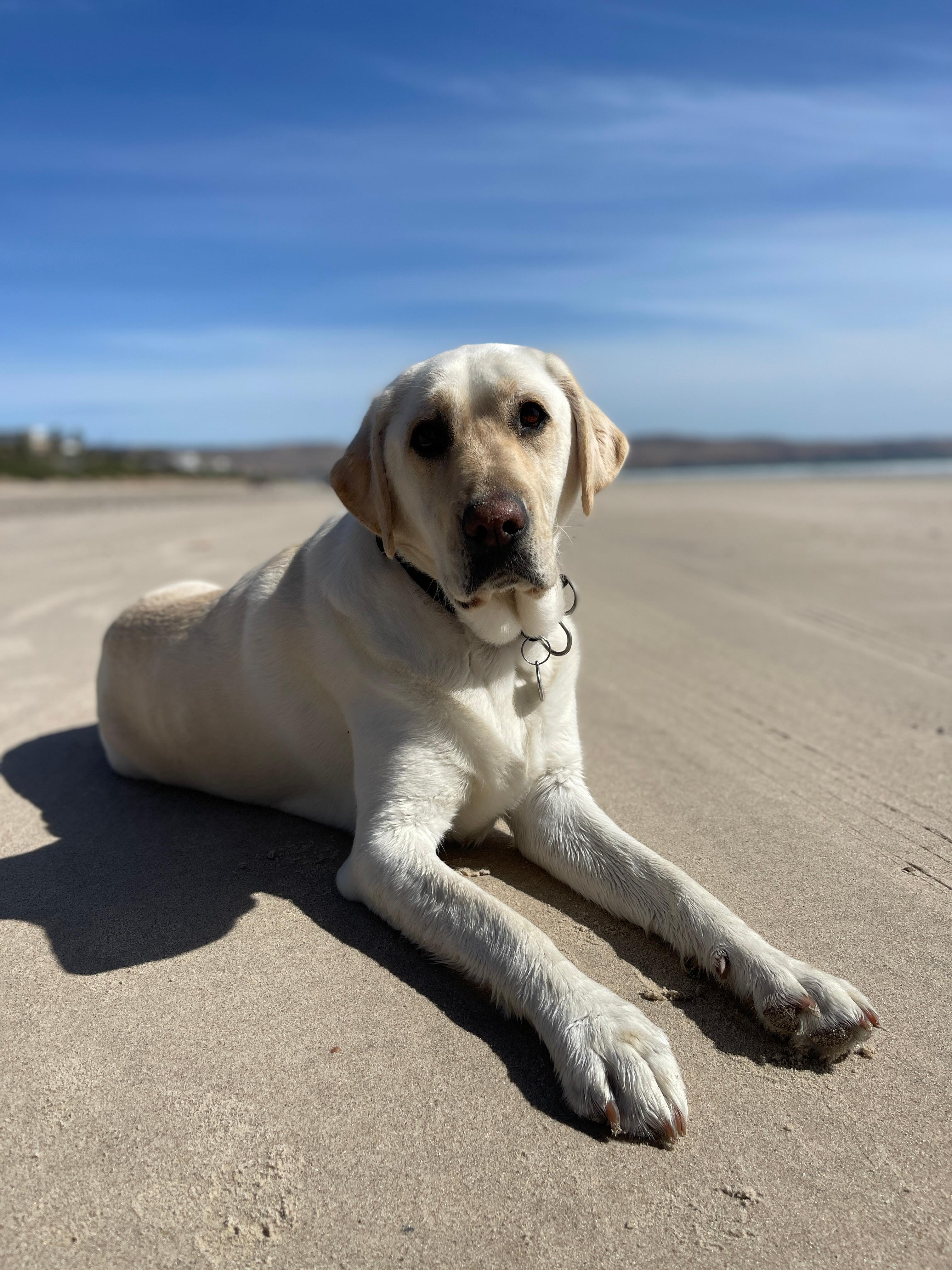 Short walk to the beach