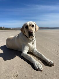 Short walk to the beach