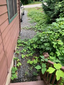 Walkway