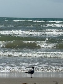 Beach at Port Aransas.