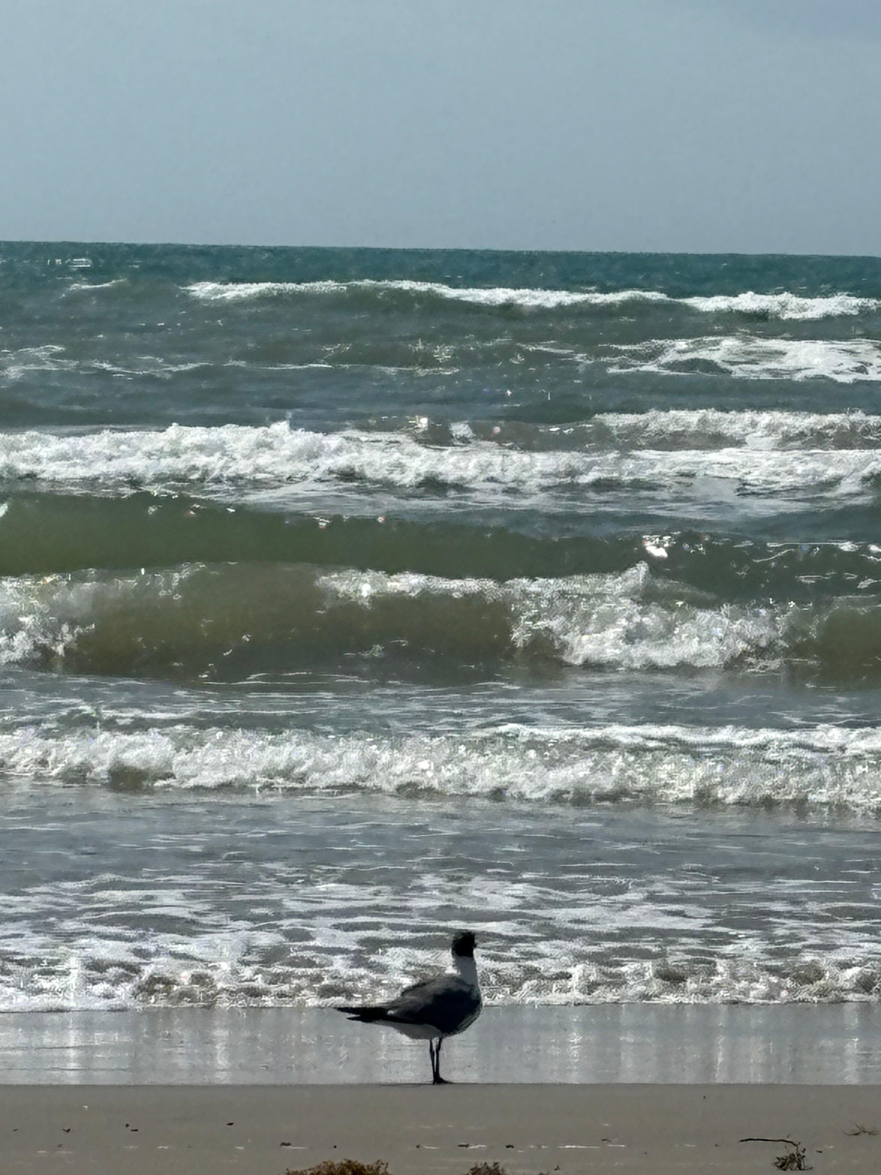 Beach at Port Aransas. 