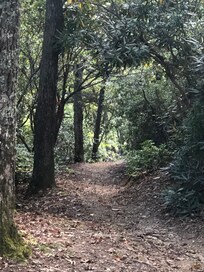 trail 5 minutes from the house